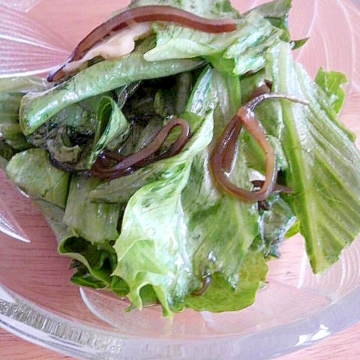 レタスの漬物??シャキシャキレタスの塩昆布和え♫